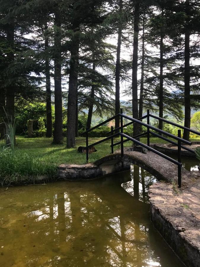 Sant Llorenc de la MugaEls Avets De La Muga住宿加早餐旅馆 外观 照片